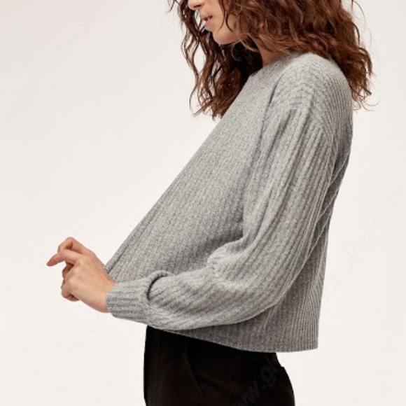Wilfred Sweaters - Wilfred Free Rudko Cropped Sweater